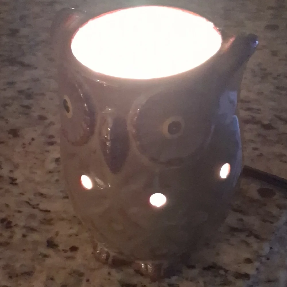 Ceramic Owl Night Light